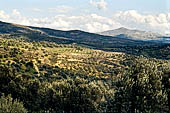 La piana  di Messar la pi bella di Creta.